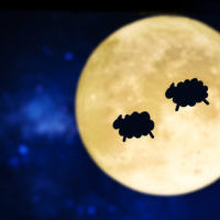 Counting sheep silhouette over a full moon
